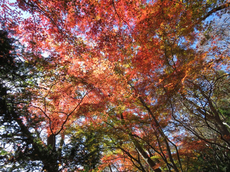 奥久慈・男体山